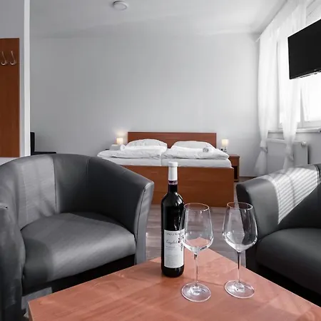 Guest house Patria